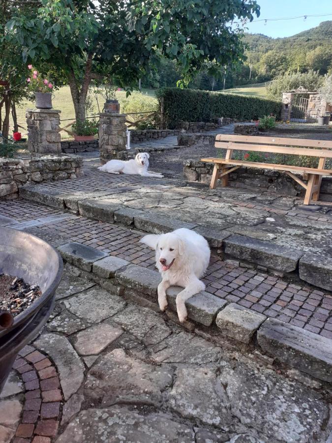 Sozzi "Borgo Gerbina" Agriturismo & Azienda Agricola מראה חיצוני תמונה
